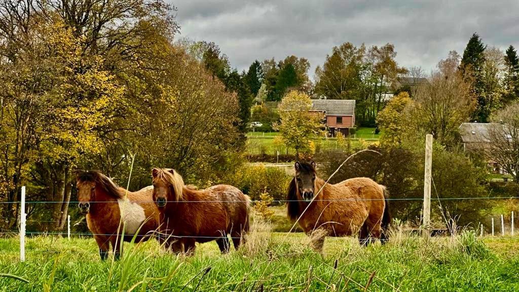 La Maison Attila En Ardennes Libin Zewnętrze zdjęcie