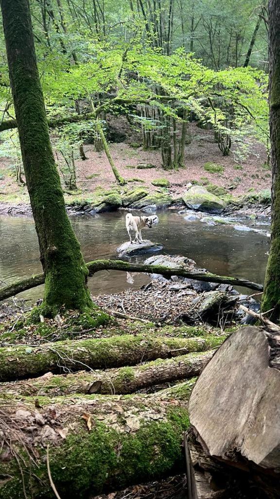 La Maison Attila En Ardennes Libin Zewnętrze zdjęcie